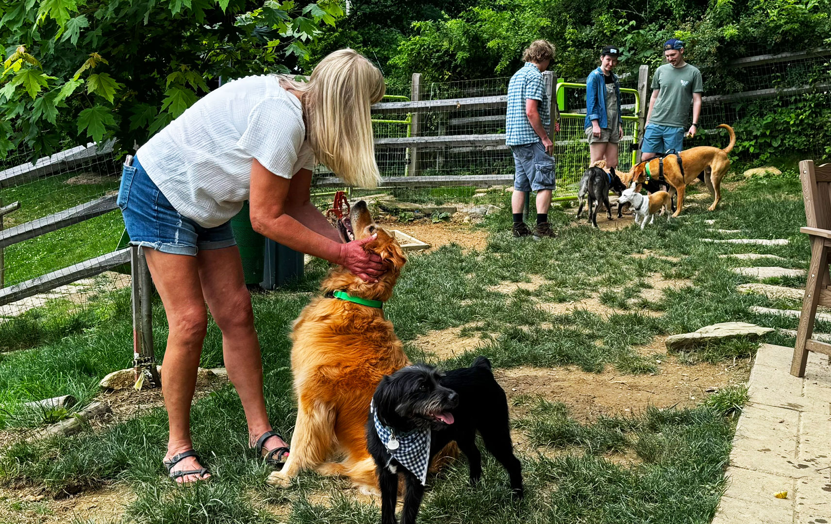dog-park-page-photo Mountain Dog Coffee Dog Park